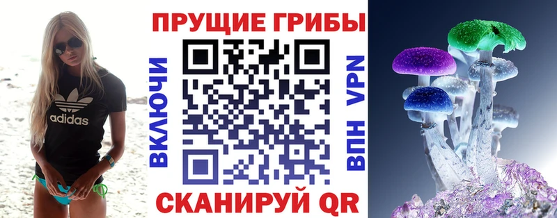 Псилоцибиновые грибы Psilocybine cubensis  Краснокамск 