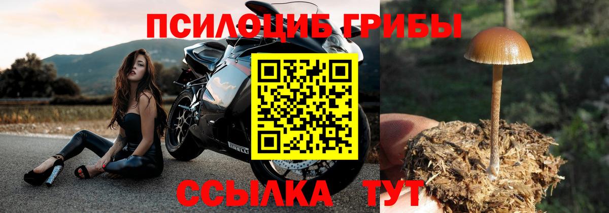 Псилоцибиновые грибы Psilocybine cubensis  Псилоцибиновые грибы Psilocybine cubensis  Краснокамск  Вход с VPN 
