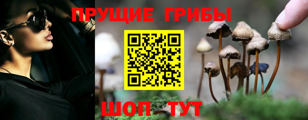 Галлюциногенные грибы MAGIC MUSHROOMS Краснокамск
